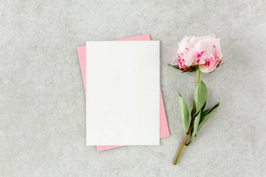 Sahte davetiye, boş kağıt tebrik kartı, pembe zarf ve gri taş masada şakayıklar. Çiçek arkaplanı. Düz yatış, üst görünüm.