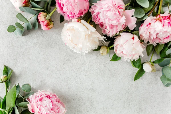 Bellissimi fiori di peonia rosa su tavolo in pietra grigia con spazio per copiare il testo. Stile piatto, vista dall'alto — Foto Stock