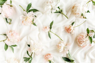 Pembe ve bej renkli şakayık çiçekleri. Şakayık desenli. Düz yatış, üst görünüm. 