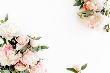 Kenar çerçevesi pembe ve bej şakayıklardan yapılmış ve beyaz arka planda izole edilmiş. Düz yerde, üst tarafta. Çiçek çerçevesi.