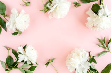 Beyaz şakayık çiçekleri çerçevesi, pembe arka planda yazı için yer var. Şakayık desenli. Düz yatış, üst görünüm. 