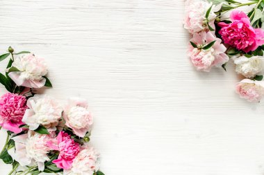 Kenar çerçevesi pembe ve bej şakayıklardan yapılmış ve beyaz arka planda izole edilmiş. Düz yerde, üst tarafta. Çiçek çerçevesi.