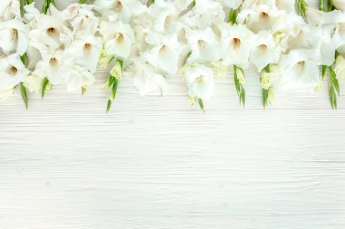 Beyaz arka planda beyaz gladyatörler. Gladioli desenli ve kısa tatil tebrik kartı için yeri var. Düz Yat, üst manzara. Çiçek dokusu.