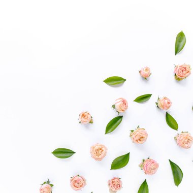 Pembe güllerden, yeşil yapraklardan, beyaz arkaplanda dallardan oluşan çiçek deseni. Düz yerde, üst tarafta. Sevgililer Günü geçmişi. Çiçek deseni. Desen 