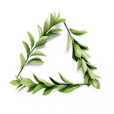 Beyaz arka planda yeşil yaprakları ve dalları olan üçgen çerçeve. Düz uzan, üst görünüm