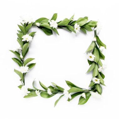 Üzerinde yeşil yapraklar ve papatya dalları olan çerçeve, beyaz arka planda izole edilmiş kasımpatı. Düz uzan, üst görünüm