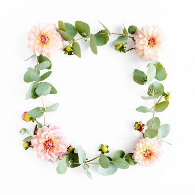 Beyaz arka planda pembe çiçek tomurcukları, dallar ve yapraklarla izole edilmiş okaliptüs. Düz uzan, üst görünüm