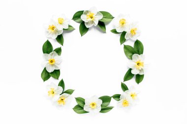 Beyaz çiçekli narsisli yuvarlak çerçeve, papatya tomurcukları, dallar ve beyaz arka planda izole edilmiş yapraklar. Düz uzan, üst görünüm