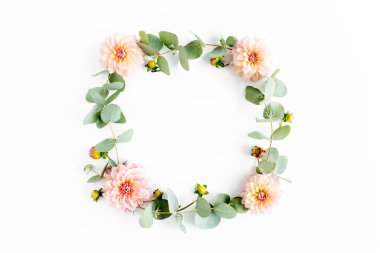 Çelenk çerçevesi pembe çiçek tomurcukları, dallar ve beyaz arka planda izole edilmiş okaliptüs yaprakları. Düz uzan, üst görünüm