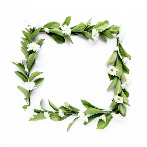 Üzerinde yeşil yapraklar ve papatya dalları olan çerçeve, beyaz arka planda izole edilmiş kasımpatı. Düz uzan, üst görünüm