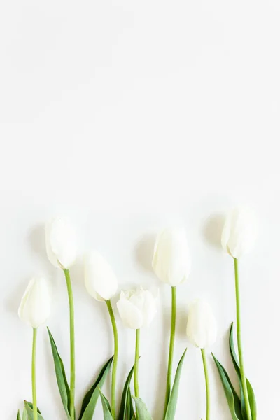 White tulips on white background. Minimal floral concept. Flat lay, top view.