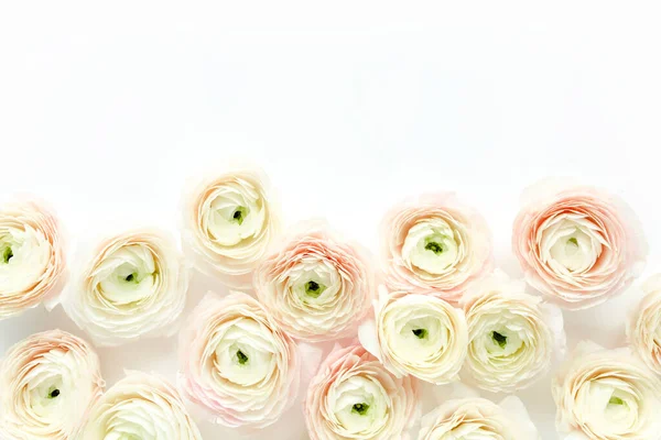 Texture de fond floral faite de bourgeons floraux de ranunculus rose sur fond blanc. Couché plat, vue sur le dessus fond floral. — Photo