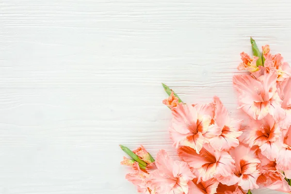 Gladioli rosa su sfondo bianco in legno. Modello floreale di biglietto di auguri per le vacanze gladioli. Posa piatta, vista dall'alto. Cornice di fiori. Struttura dei fiori — Foto Stock