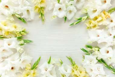 Tahta beyaz arka planda sarı gladioluslar. Gladioli bayram tebrik kartının çiçek deseni. Düz yerde, üst tarafta. Çiçek çerçevesi. Çiçek dokusu