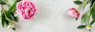 Gri taş masanın üzerinde güzel pembe şakayık çiçekleri ve metin için fotokopi alanı. Düz stil, üst görünüm