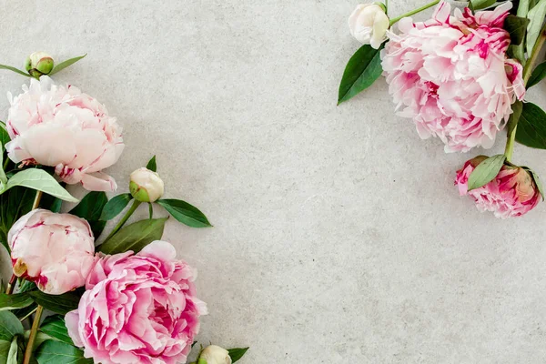 Bellissimi fiori di peonia rosa su tavolo in pietra grigia con spazio per copiare il testo. Stile piatto, vista dall'alto — Foto Stock
