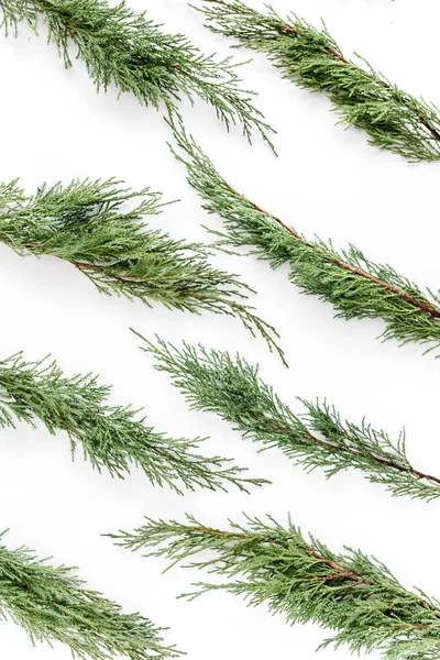 Padrão de ramos de zimbro no fundo branco. Composição de Natal, papel de parede. Deitado plano, vista superior — Fotografia de Stock
