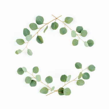 Okaliptüsten yapılmış çelenk çerçevesi ve beyaz arka planda izole edilmiş yapraklar. Düz uzan, üst görünüm