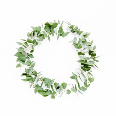 Beyaz arka planda izole edilmiş okaliptüs dallarından yapılmış çelenk çerçevesi. Düz uzan, üst görünüm