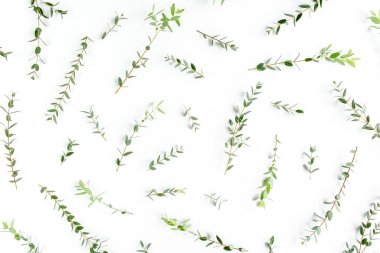 Doku, beyaz arkaplandaki okaliptüsten yapılmış bir kalıp. Düz yatış, üst görünüm.