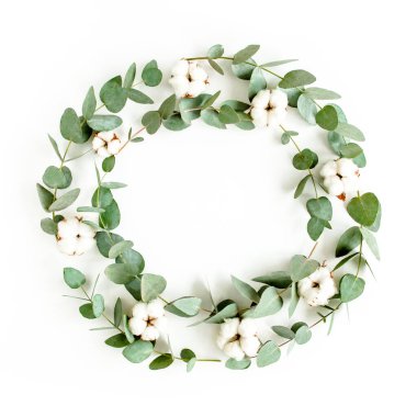 Okaliptüs dallarından, yapraklardan ve beyaz arka planda izole edilmiş pamuktan yapılmış çelenk çerçevesi. düz yatış, üst görünüm