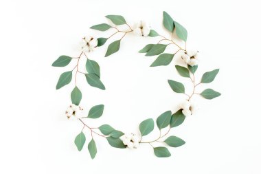 Dalları okaliptüs olan yuvarlak çerçeve ve beyaz arka planda izole edilmiş yapraklar. Düz uzan, üst görünüm