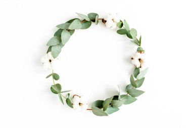 Okaliptüs dallarından, yapraklardan ve beyaz arka planda izole edilmiş pamuktan yapılmış çelenk çerçevesi. düz yatış, üst görünüm
