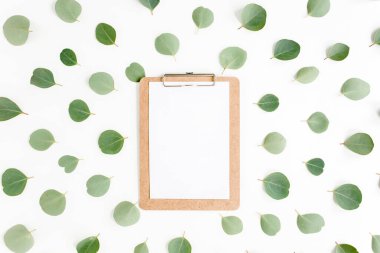 Beyaz arkaplanda yeşil yapraklı okaliptüs izole edilmiş pano çalışma alanı. Düz uzan, üst görünüm