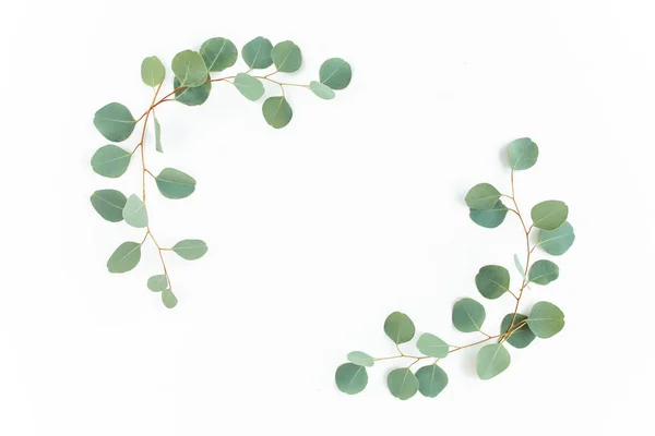 Wreath frame made of branches eucalyptus and leaves isolated on white background. lay flat, top view — Stock Photo, Image