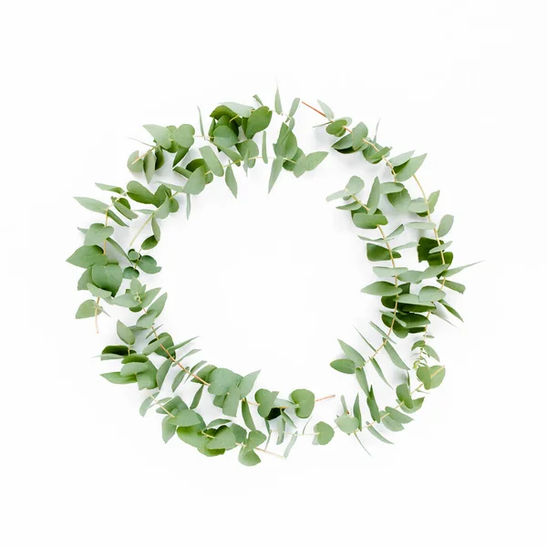 Wreath frame made of branches eucalyptus isolated on white background. lay flat, top view — Stock Photo, Image