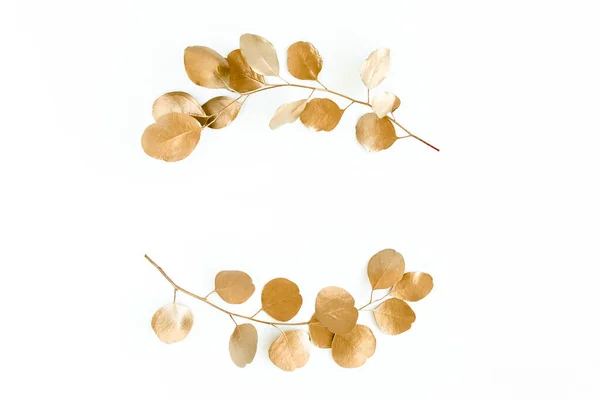 Золотая круглая рама из золотых веток эвкалипта и листьев изолирована на белом фоне. lay flat, top view — стоковое фото