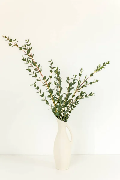 Branches of eucalyptus in vase on table on light background. Home decor. Blog, website or social media concept