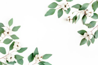 Yeşil yapraklardan yapılmış çerçeve okaliptüs populus beyaz arka planda izole edilmiş ve metin için boş alan var. Düz yatış, üst görünüm