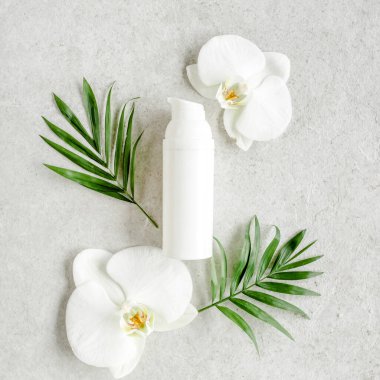 Temel yağ, sebze özü, serum, hyaluronik asit, yüz kremi, gri mermer arka planda tropik palmiye yaprakları. Spa cildi konsepti. Doğal.