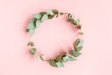 Okaliptüsten yapılmış çelenk çerçevesi ve pembe arka planda izole edilmiş yapraklar. Düz uzan, üst görünüm