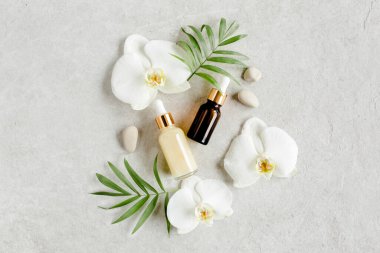 Temel yağ, sebze özü, serum, hyaluronik asit, yüz kremi, gri mermer arka planda tropik palmiye yaprakları. Spa cildi konsepti. Doğal.