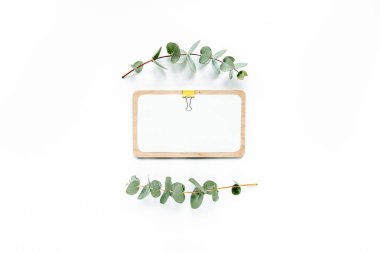 Okaliptüs yeşili, sulu, kahverengi zarf, beyaz arka planda izole bırakılmış. düz uzan, tepeden bak