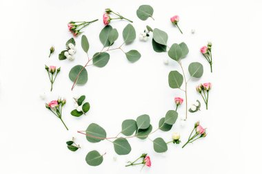 Dalları okaliptüs olan yuvarlak çerçeve ve beyaz arka planda izole edilmiş yapraklar. Düz uzan, üst görünüm