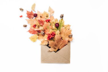 Kırmızı sonbahar yaprak desenli çerçeve, beyaz arka planda az yaratıcı böğürtlen düzenleme desenli. Düz yatış, üst manzara. Noel arkaplan duvar kağıdı