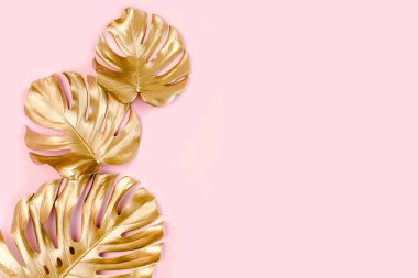 Altın tropikal palmiye pembe arka planda Canavar bırakır. Düz konum, üst görünüm minimum konsept.