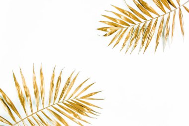 Beyaz arka planda altın tropik palmiye yaprakları. Düz konum, üst görünüm minimum konsept.