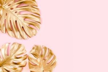 Altın tropikal palmiye pembe arka planda Canavar bırakır. Düz konum, üst görünüm minimum konsept.