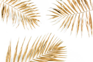 Beyaz arka planda altın tropik palmiye yaprakları. Düz konum, üst görünüm minimum konsept.