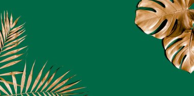 Altın tropikal palmiye yeşil arka planda Canavar bırakır. Düz konum, üst görünüm minimum konsept.