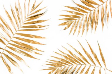 Beyaz arka planda altın tropik palmiye yaprakları. Düz konum, üst görünüm minimum konsept.
