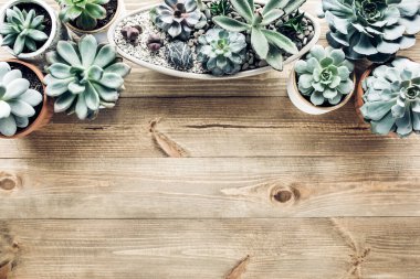 Çiçek çerçevesi, ahşap arka planda en az yaratıcı böğürtlen düzenleme desenine sahip. Düz yatış, üst manzara. Noel arkaplan duvar kağıdı.