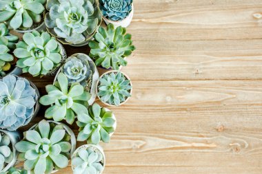 Çiçek çerçevesi, ahşap arka planda en az yaratıcı böğürtlen düzenleme desenine sahip. Düz yatış, üst manzara. Noel arkaplan duvar kağıdı.