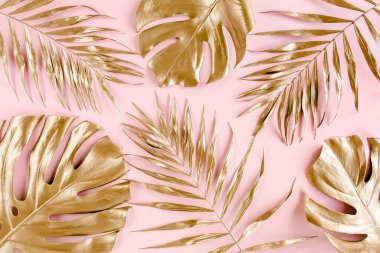 Altın tropikal palmiye pembe arka planda Canavar bırakır. Düz konum, üst görünüm minimum konsept.