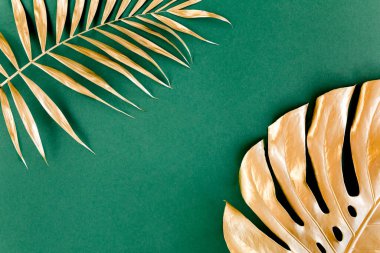 Altın tropikal palmiye yeşil arka planda Canavar bırakır. Düz konum, üst görünüm minimum konsept.
