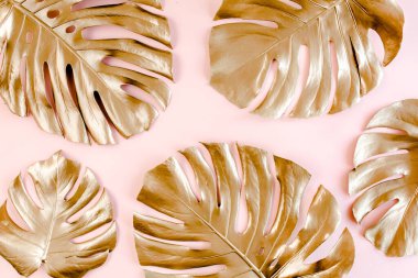 Altın tropikal palmiye pembe arka planda Canavar bırakır. Düz konum, üst görünüm minimum konsept.